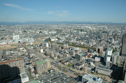 DSC_8151.jpg