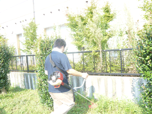 P1000692.gif
