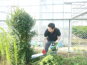 P1000687.gif